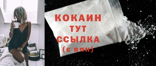 гашик Гусев