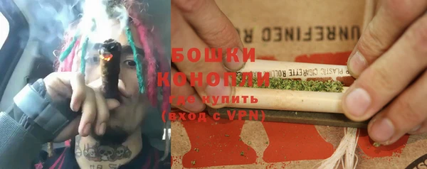 гашик Гусев