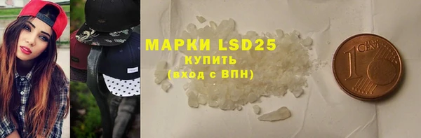 гашик Гусев