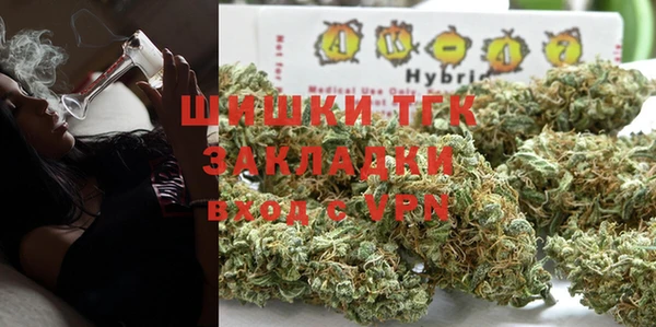гашик Гусев