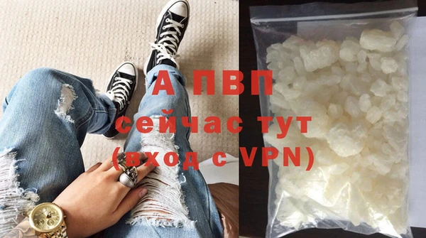 гашик Гусев