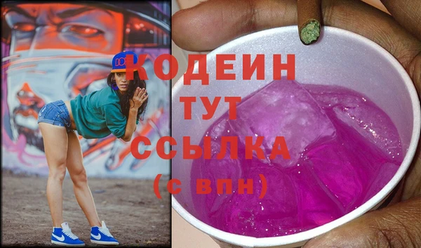 гашик Гусев