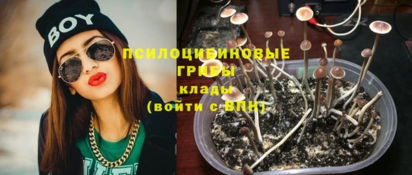 гашик Гусев