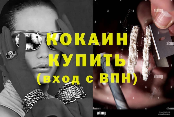 гашик Гусев
