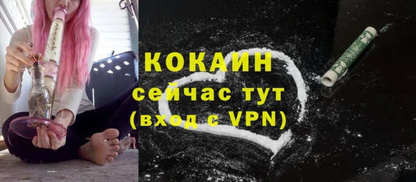 мяу мяу мука Гусиноозёрск