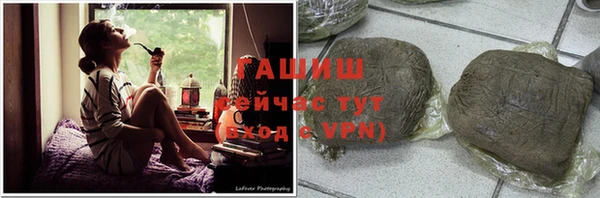 гашик Гусев